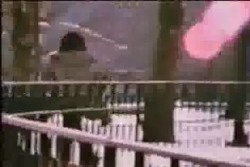 Sylvester Sallone in a porn movie