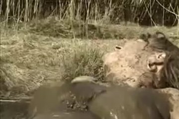 She wanted dirty sex, and he gave it to her