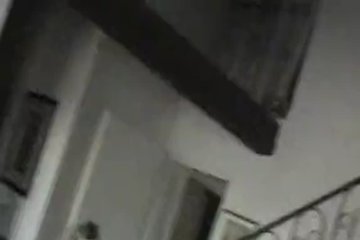 Chick plays with toys