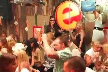 Sexy chicks and company