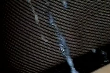 A luxurious bitch was divorced for a threesome