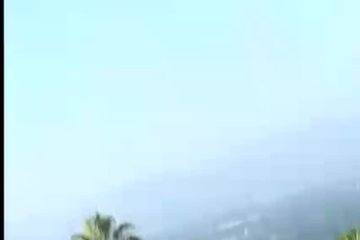 Sultry larvae take off their group sex