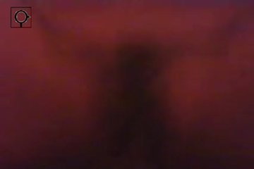 Inexperienced hot girl on his dick