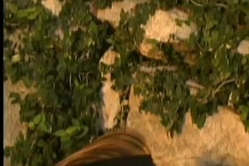 Girlfriends with big tits caress each other on the bedspread