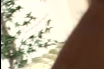 This Afro-American is always not enough sex