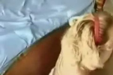 The wife knows a lot about a good blowjob