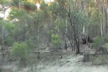 Naked lady from Australia