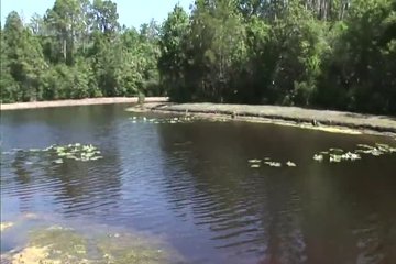 A few dollars solved the whole situation