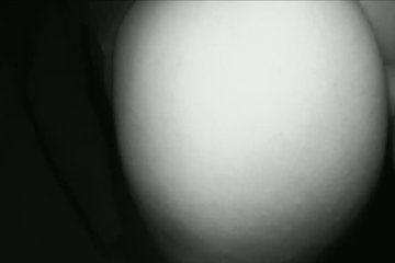 It all started with the usual demonstration of boobs