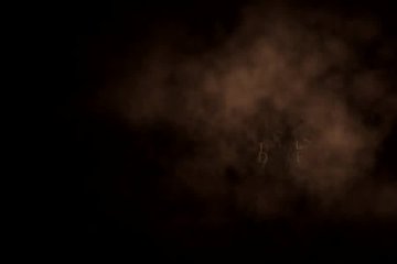 Horny lesbians will not do without sex toys