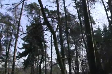 Vaginal sex in the forest with a devil