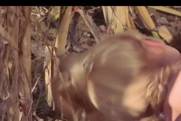 Blonde girl fucked outside by stranger