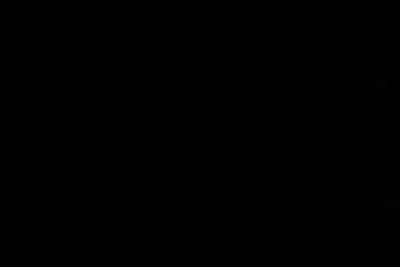 Billionere fucks his mistress in private bar