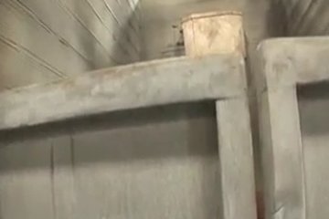 Two passionate guys for one black woman