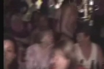 The chicks were completely blown off the roof